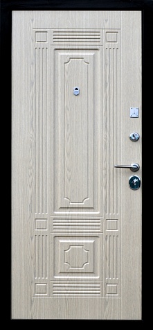 Дверь Гарда S10