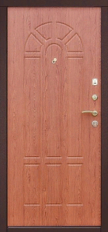 Дверь Зенит 2