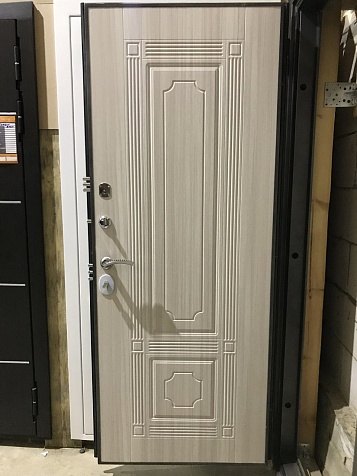 Дверь Гарда S10