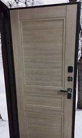 Дверь Винтер с терморазрывом Дуб шале