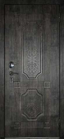 Дверь Гарда S17