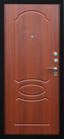 Дверь Гарда S2
